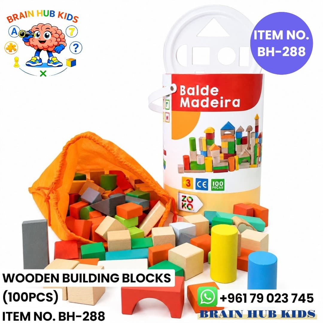 100pcs Wooden Building Blocks