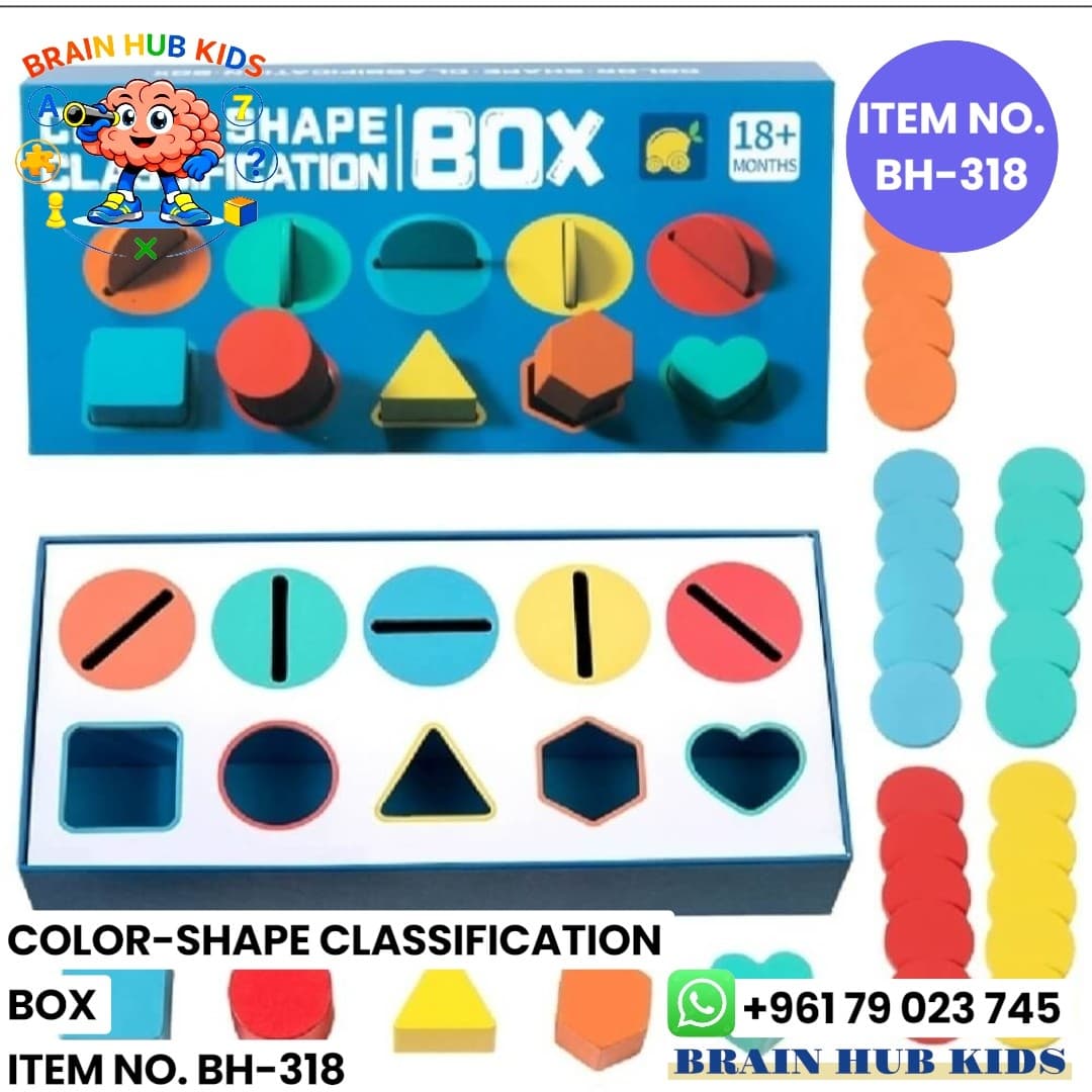 10-Hole Color & Shape Classification Box