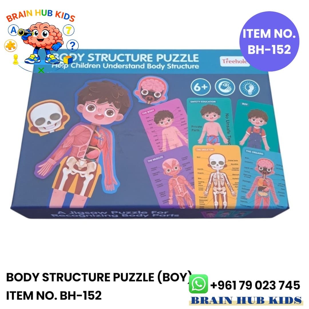 Boy Body Structur Puzzle