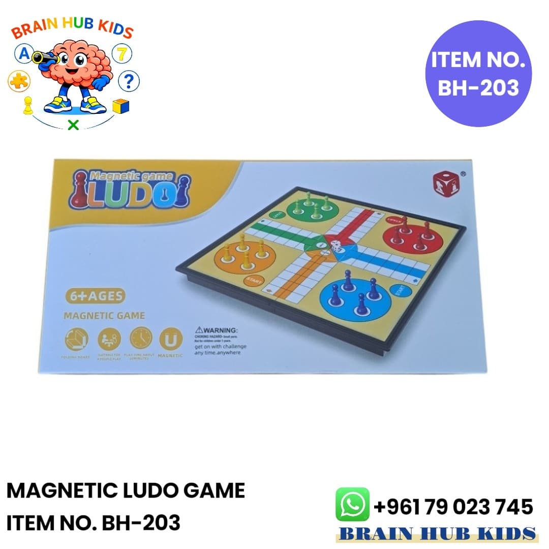 Portable Magnetic Ludo Game