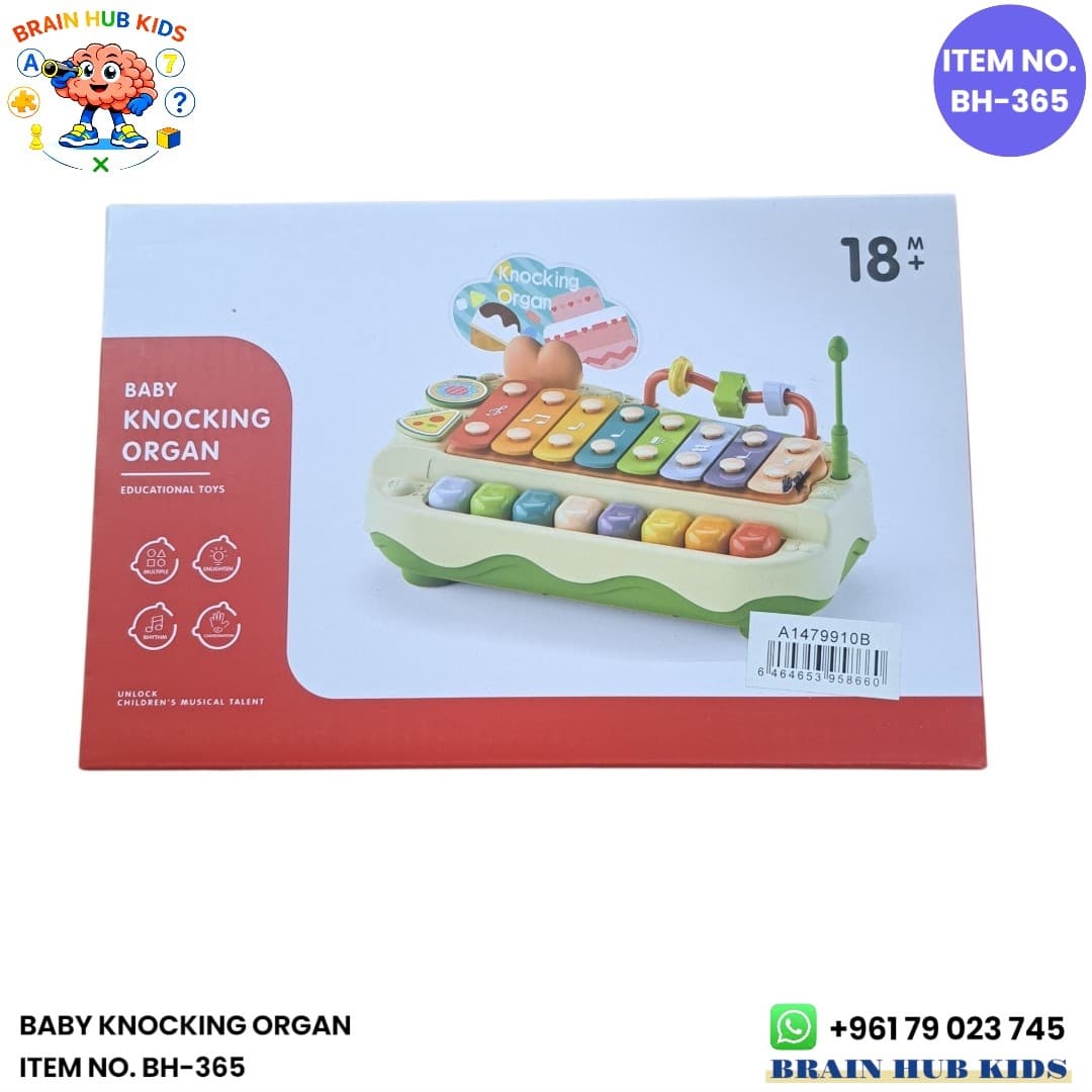 Baby Knocking Organ 2-in-1 Musical Xylophone & Piano Toy