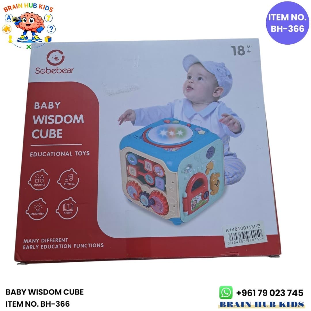 Baby Wisdom Cube Multi-Activity Educational Toy