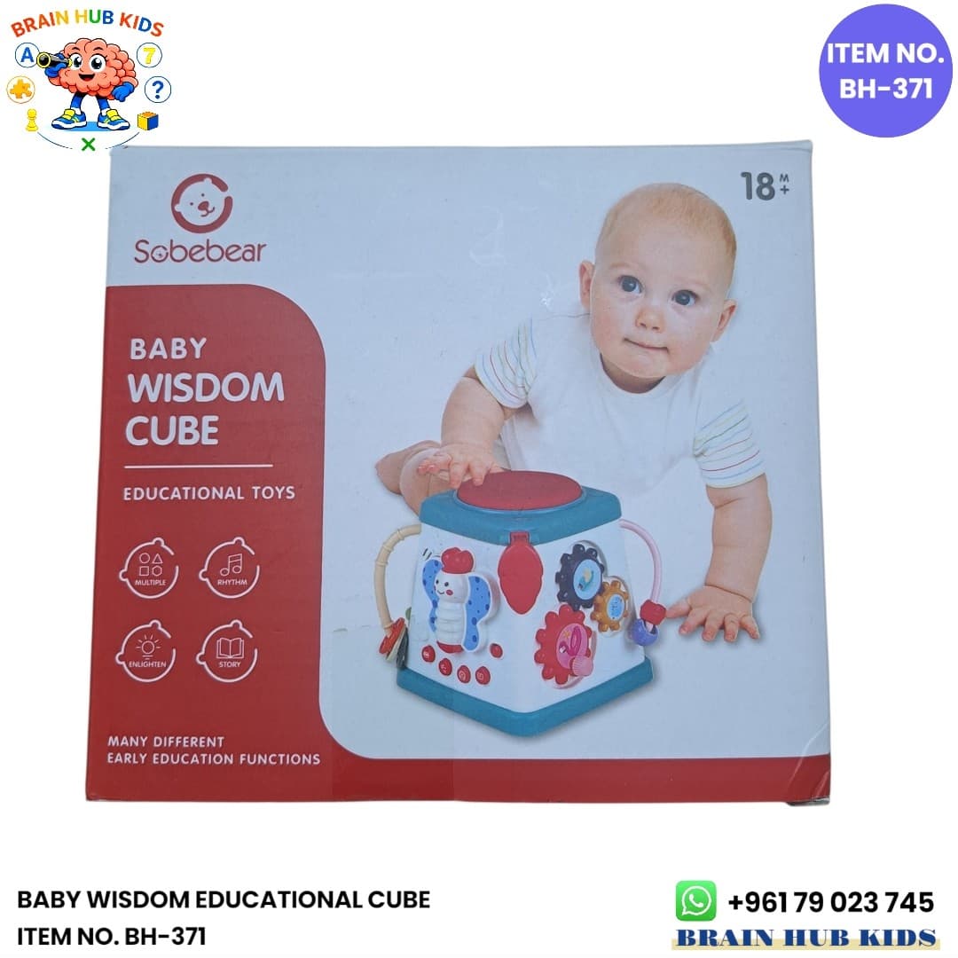 Baby Wisdom Educational Cube Multi-Activity Toy