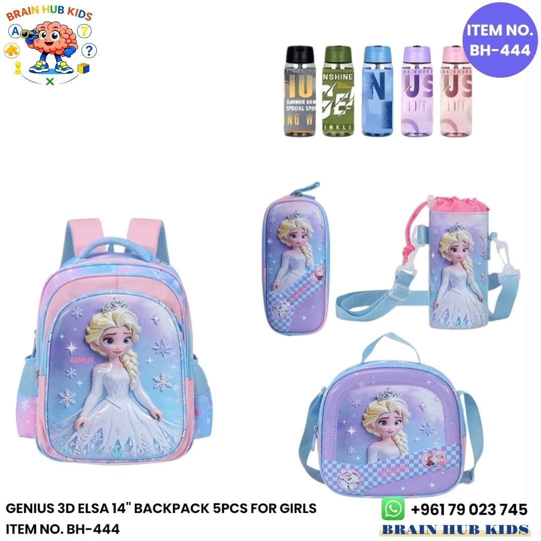 Genius 3D Elsa 14" BackPack 5pcs For Girls