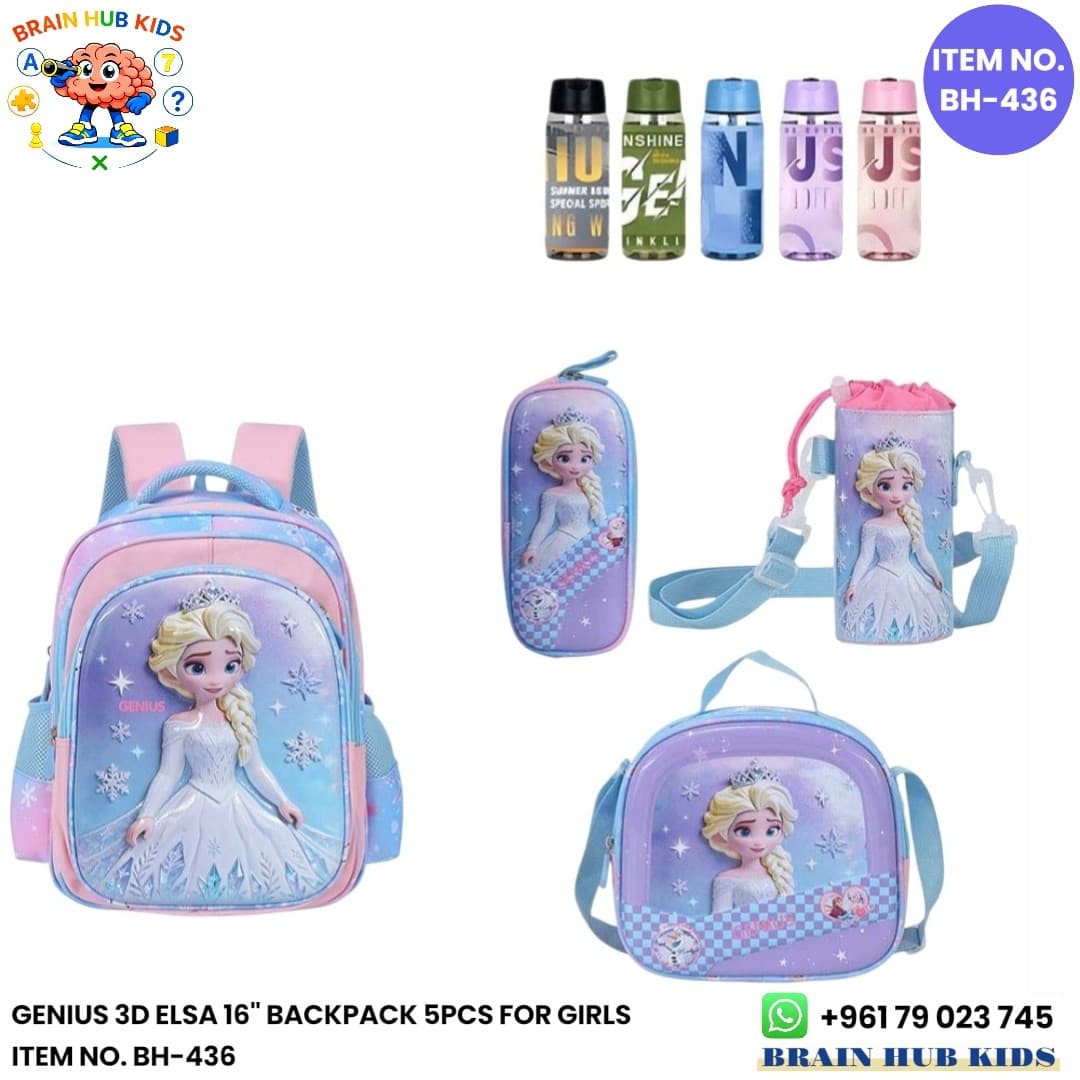 Genius 3D Elsa 16" BackPack 5pcs For Girls