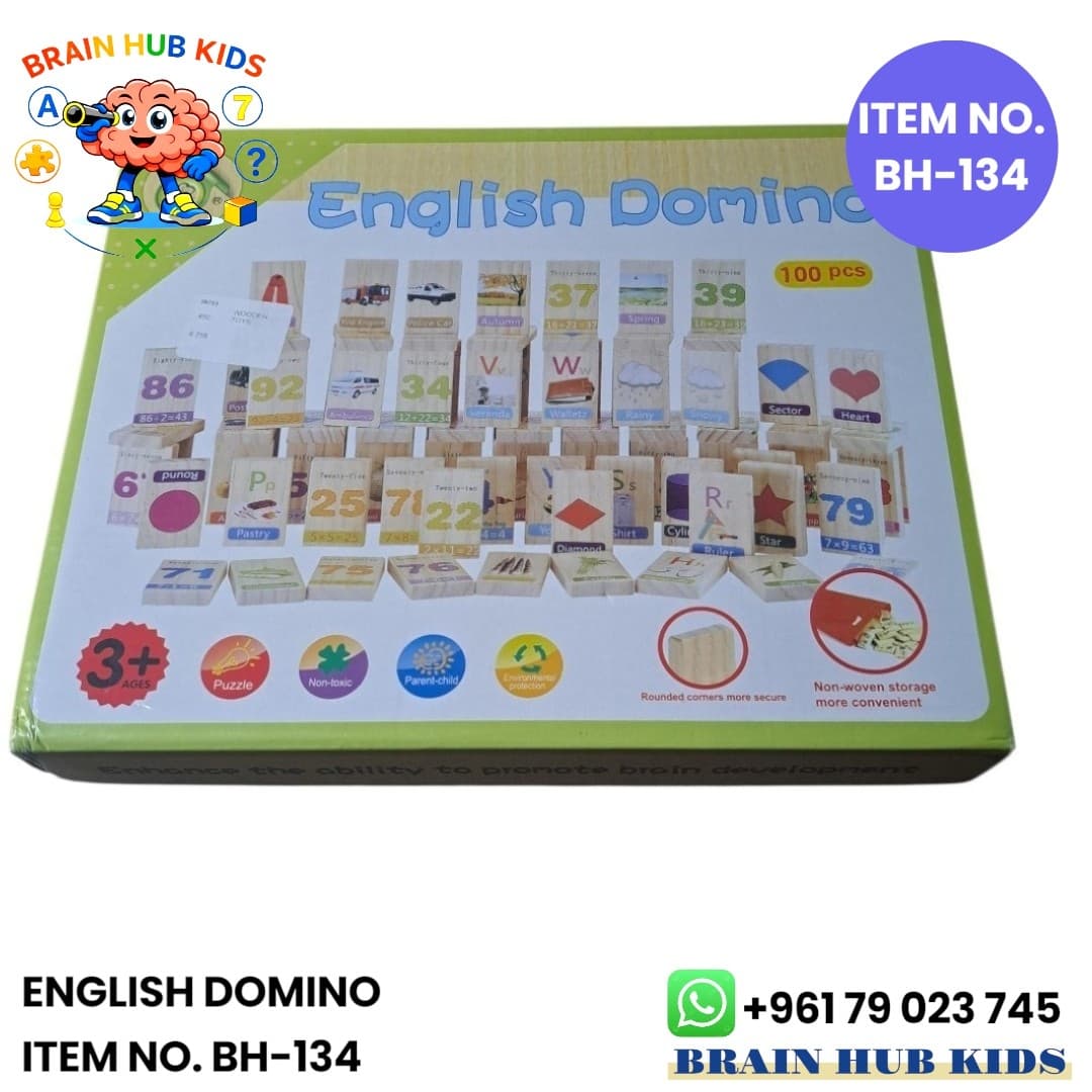 Educational English Wooden Domino Blocks Set (100 Pieces)